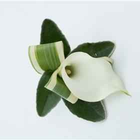 fwthumbWhite Calla Lily Buttonhole Close Up.jpg